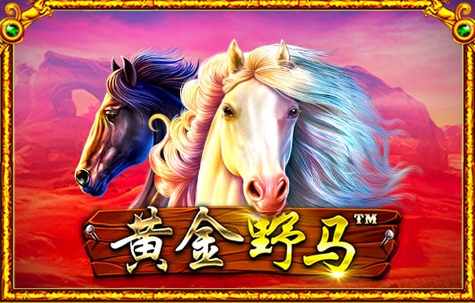 亚星333亚星官网